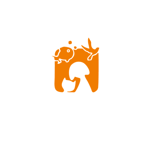 Dog & Aqua Care — Complete Pet Solutions